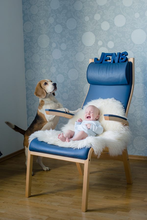 11127455_868361873209680_126286987_n