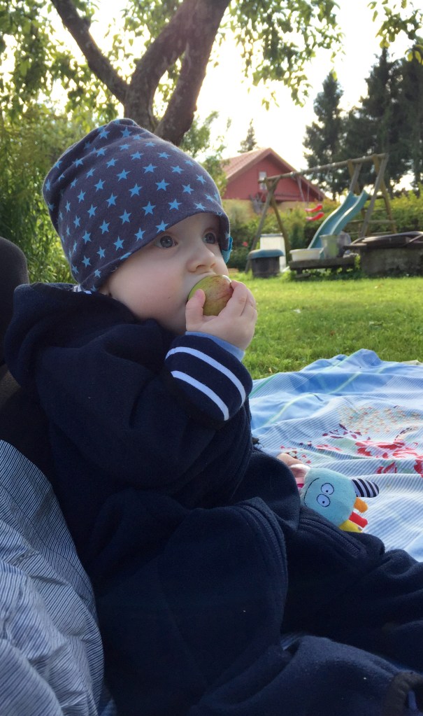 JJ esimene sügis toob endaga ka esimesed õunad :) 