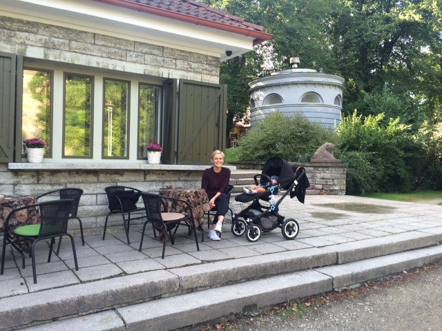 Bugaboo Buffalo istumise osaga