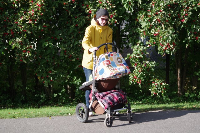 Meie Bugaboo Cameleon, mis on üks kergemaid üleviidava sangaga kärusid.