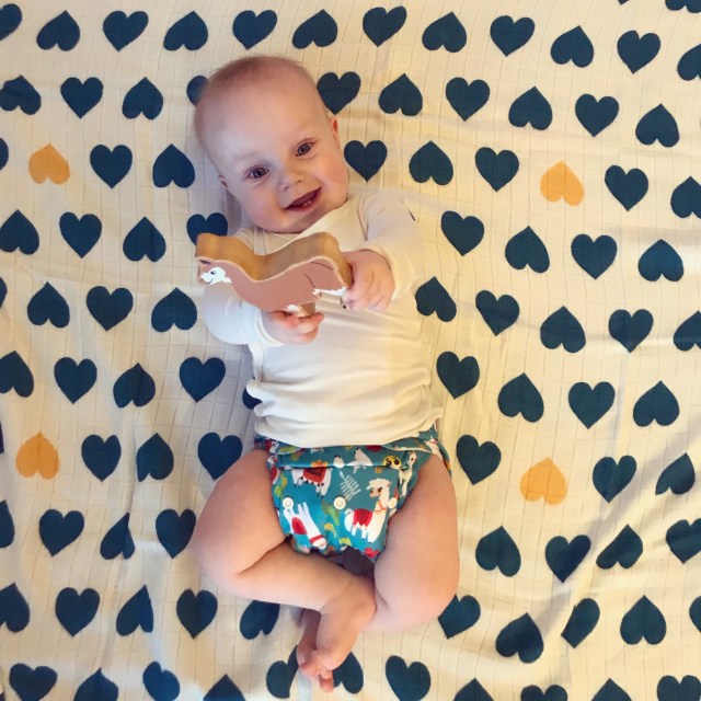 bf798d5a-22b5-4f38-90ba-7d62c29a20a6